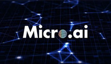 MicroAI | Security Demo