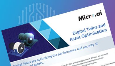 MicroAI Digital Twins and Asset Optimization